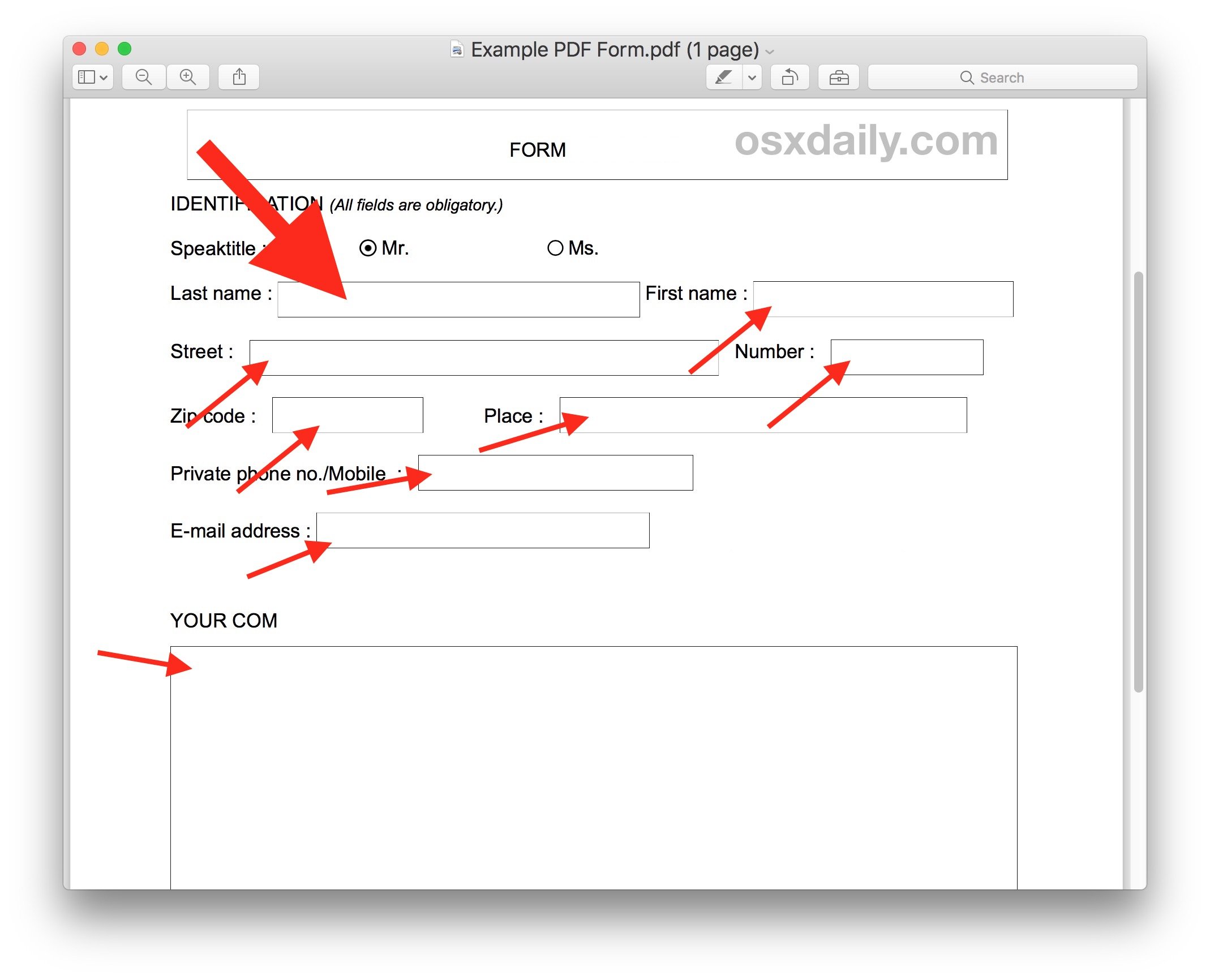 how to fill out a pdf form on macbook 1713187296