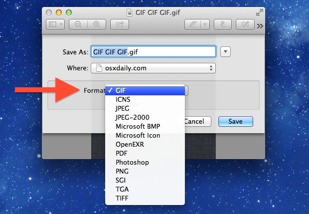 how to save a gif on macbook 1713355886